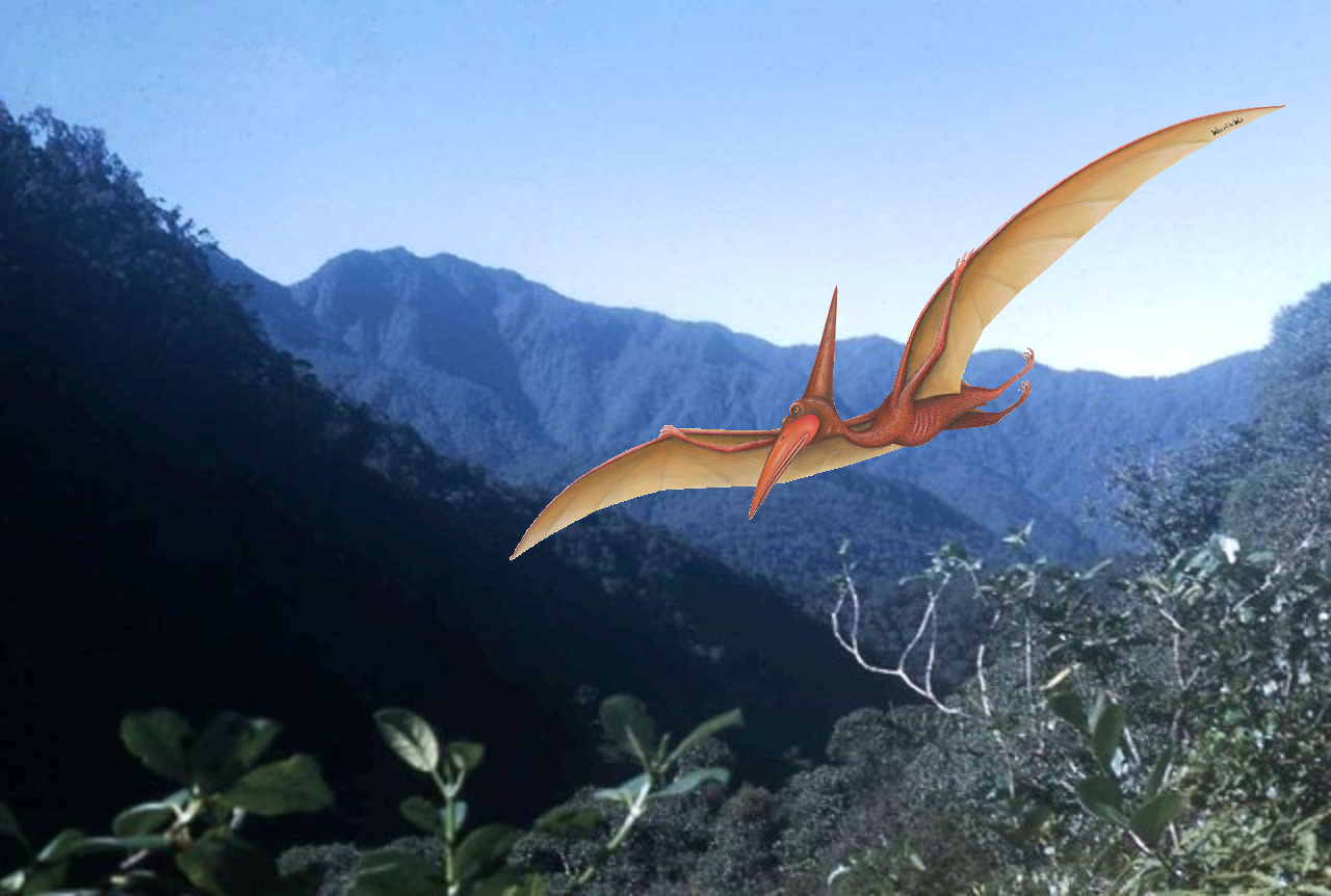 A Pterodactyl Leaving Tahiti